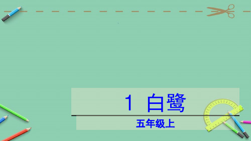 部编版五年级上册白鹭ppt课件