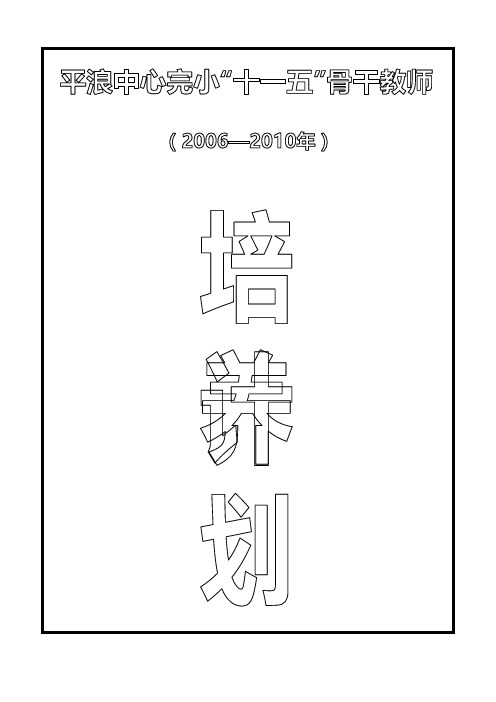 学校骨干教师培训计划2006-2009