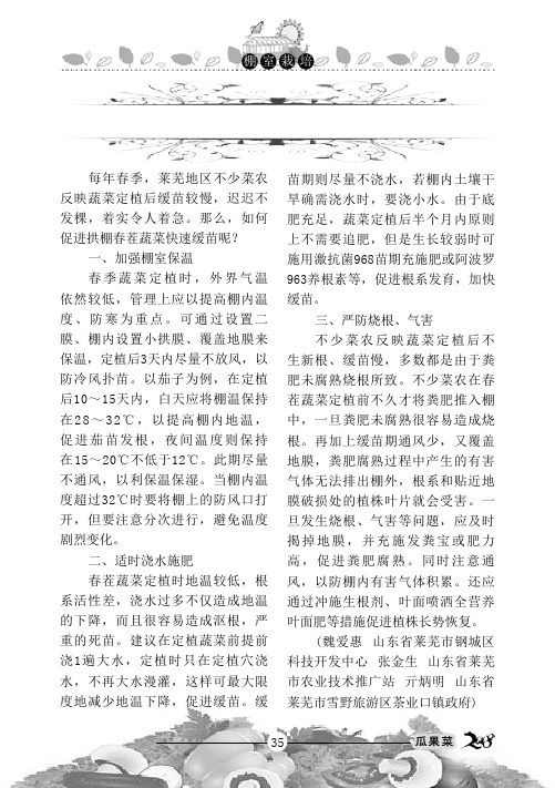 拱棚春茬蔬菜快速缓苗技巧