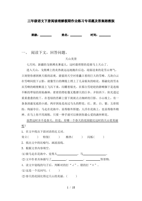 三年级语文下册阅读理解假期作业练习专项题及答案湘教版