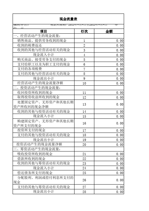 2013现金流量表模版