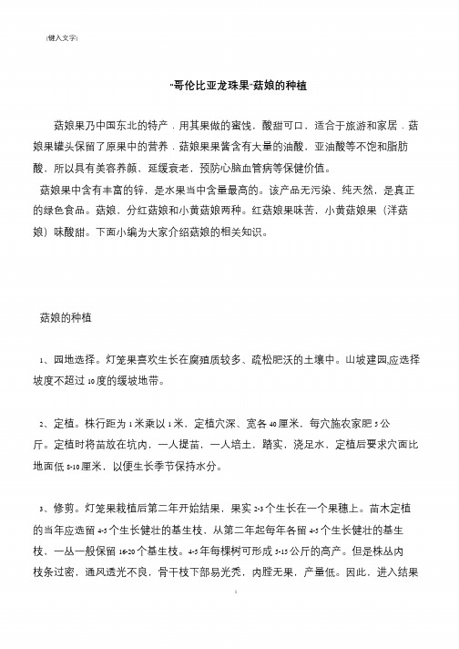 【推荐下载】“哥伦比亚龙珠果”菇娘的种植