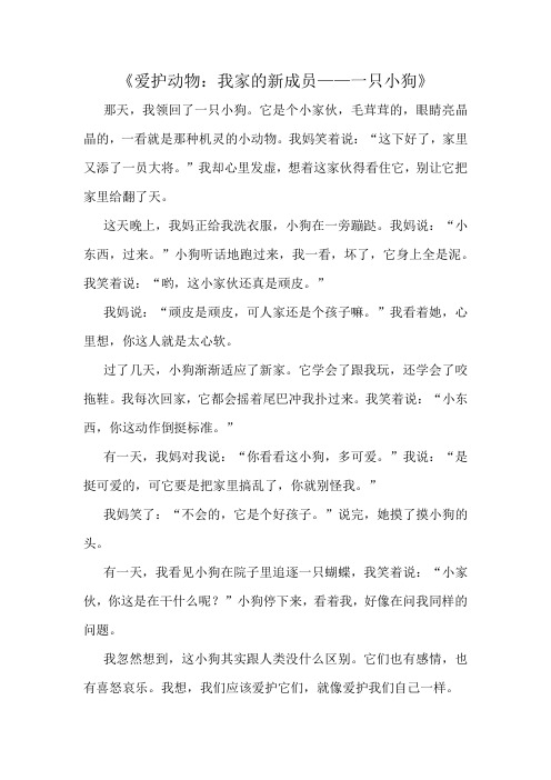 《爱护动物：我家的新成员——一只小狗》