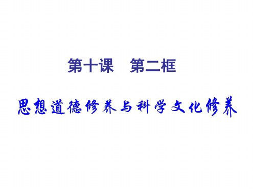 高二政治思想道德修养和知识文化修养