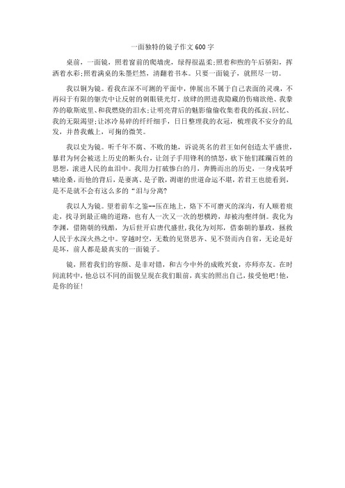 一面什么的镜子作文600字