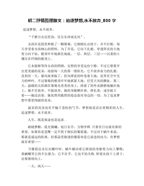 初二抒情哲理散文：追逐梦想,永不放弃_800字