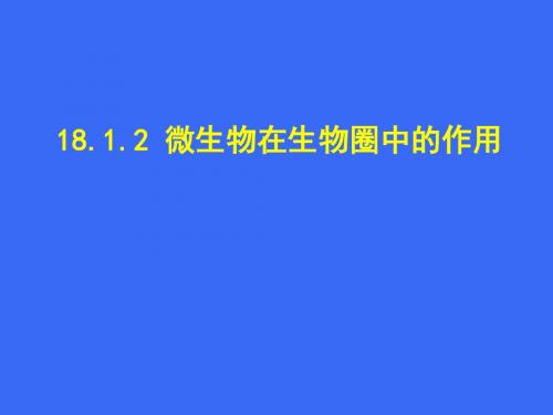 18.1微生物在生物圈中的作用(第二课时)