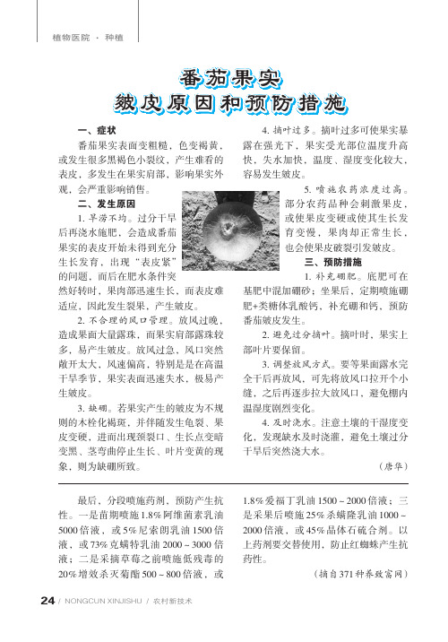 番茄果实皴皮原因和预防措施