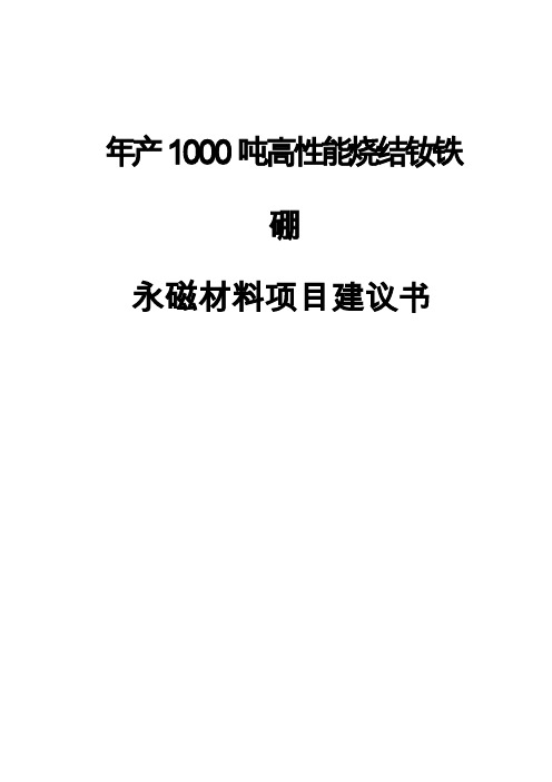 年产1000吨高性能烧结钕铁硼永磁材料项目项目建议书