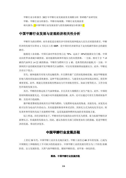 中国甲醇行业发展前景与投资战略规划分析报告