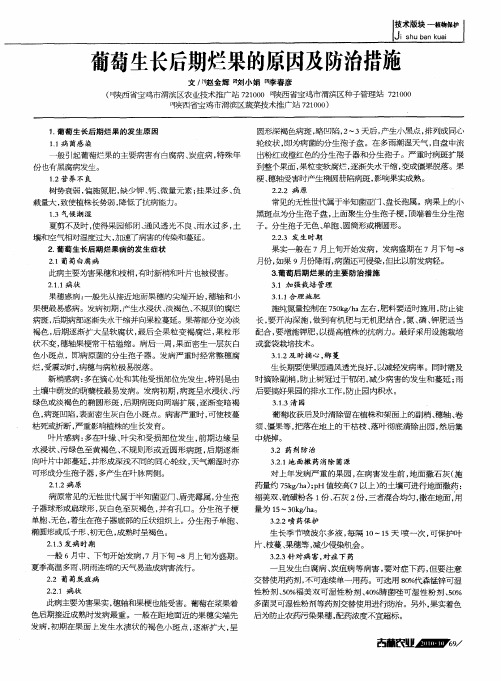 葡萄生长后期烂果的原因及防治措施