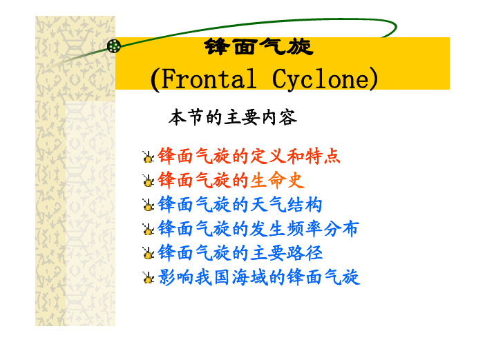 13锋面气旋