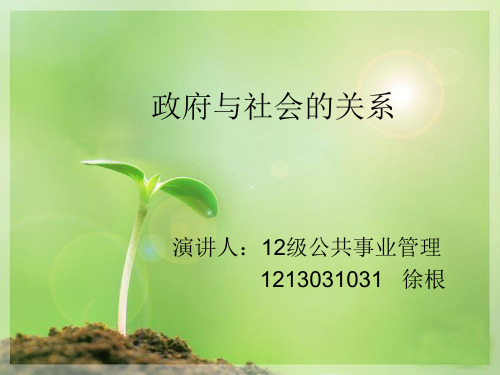 政府与社会关系的ppt