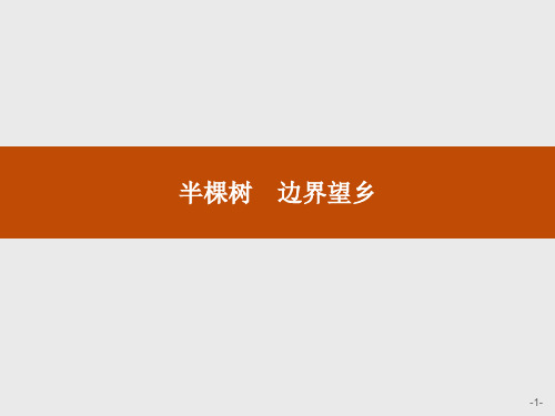 语文人教版选修《中国现代诗歌散文欣赏》课件:半棵树 边界望乡