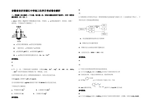 安徽省安庆市望江中学高三化学月考试卷含解析