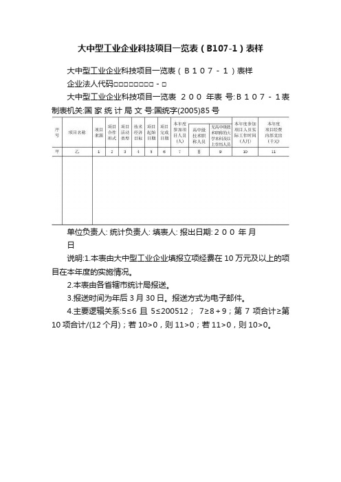 大中型工业企业科技项目一览表（B107-1）表样