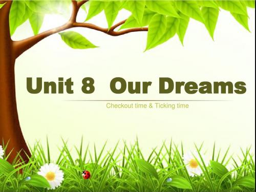 译林英语六下Unit8 Our dreams第四课时课件