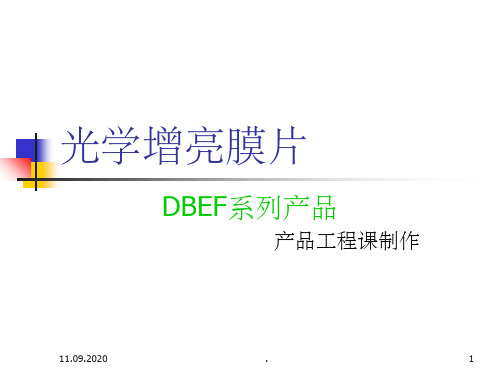 《DBEF介绍》PPT课件