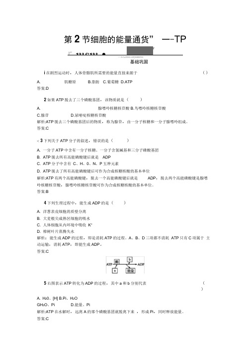 2020秋高中生物人教版必修1练习：5.2细胞的能量“通货”——ATPWord版含解析