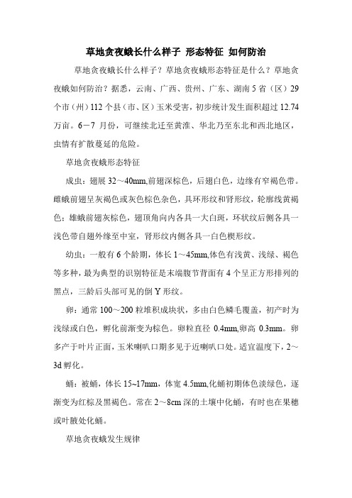 草地贪夜蛾长什么样子 形态特征 如何防治