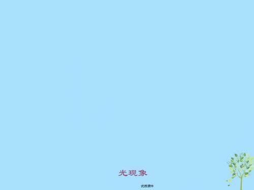 2019中考物理专题复习四 光现象课件