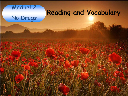 高中英语Book2-Module2-No-Drugs-Reading课件