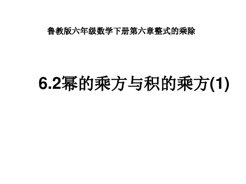 6-2幂的乘方与积的乘方(第一课时)课件  2022 2023学年鲁教版 五四制 六年级数学下册