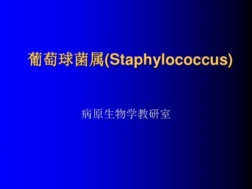 葡萄球菌属Staphylococcus