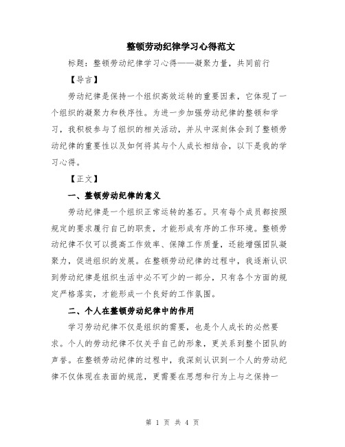 整顿劳动纪律学习心得范文