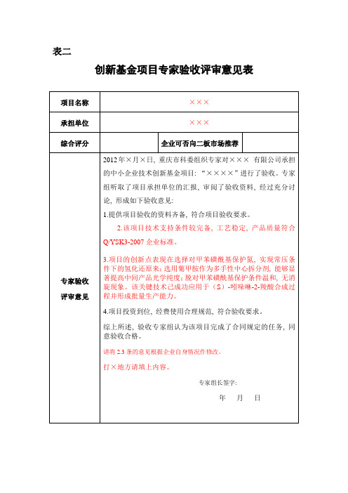 创新基金项目专家验收评审意见表模版