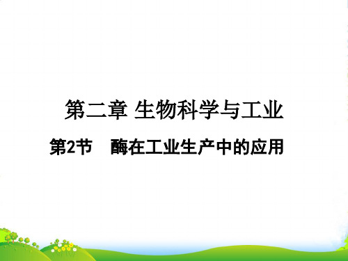 高中生物《酶在工业生产中的应用》课件3 浙教选修2