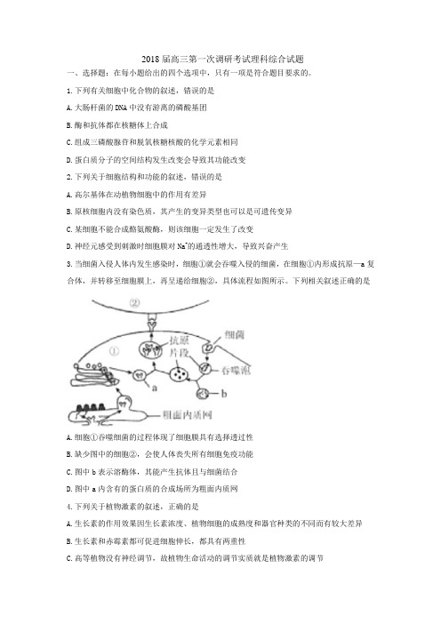 2018届高三第一次调研考试理科综合试题及答案