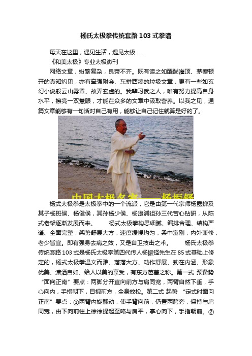 杨氏太极拳传统套路103式拳谱