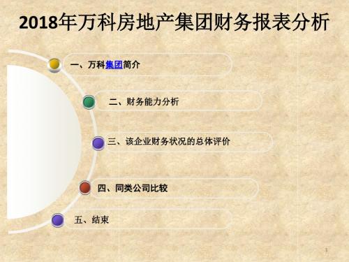 2018年万科房地产集团财务报表分析