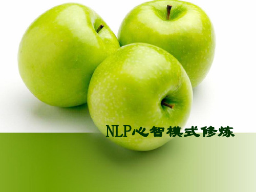 NLP培训精品PPT课件