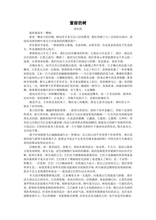 窗前的树(2008山东济宁中考语文散文阅读)