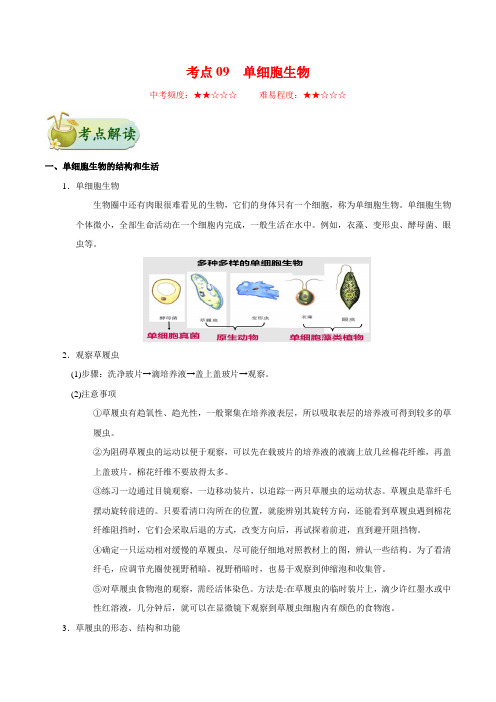 2021年初中生物中考知识点汇总 考点09 单细胞生物