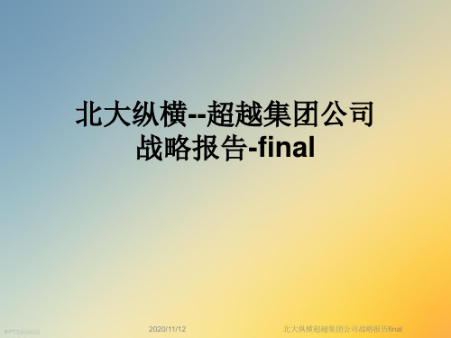 北大纵横超越集团公司战略报告final