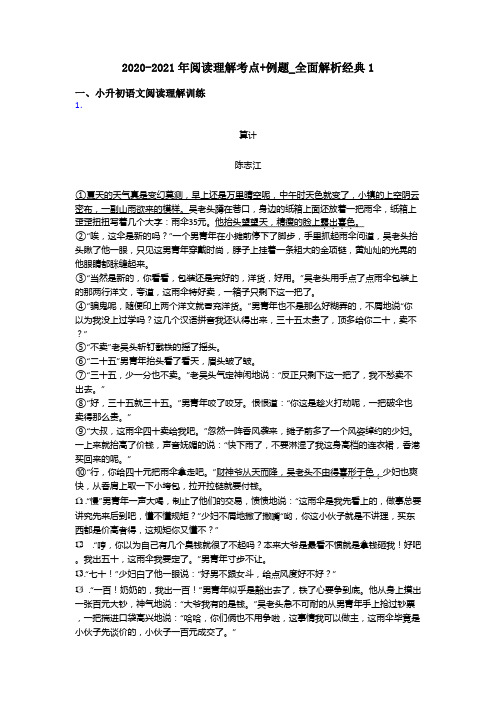 小升初2020-2021年阅读理解考点+例题_全面解析经典1