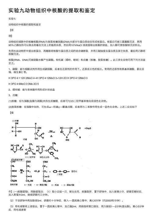 实验九动物组织中核酸的提取和鉴定