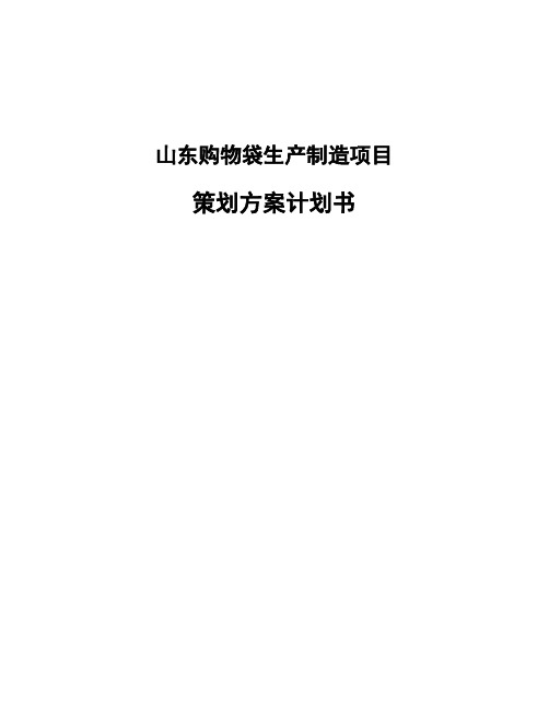 山东购物袋生产制造项目策划方案计划书