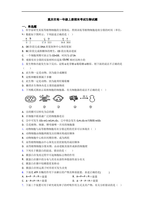 重庆市高一年级上册期末考试生物试题