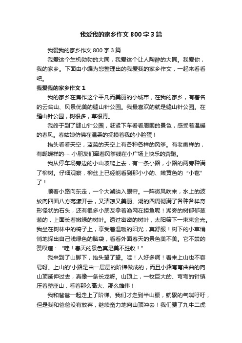 我爱我的家乡作文800字3篇