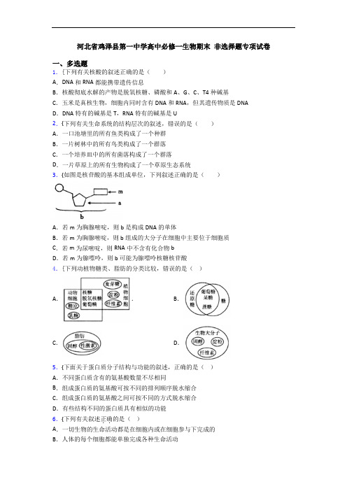 河北省鸡泽县第一中学高中必修一生物期末 非选择题专项试卷