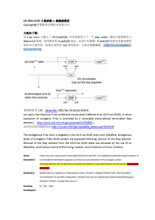 LSL-KRas G12D小鼠肺癌or胰腺癌模型-华夏凯奇