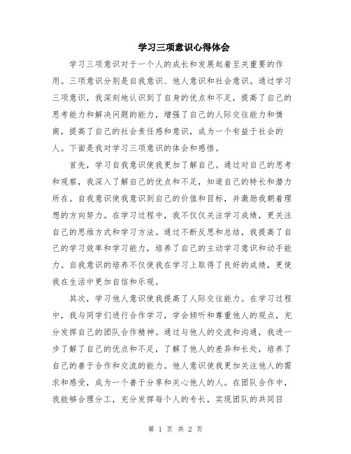 学习三项意识心得体会