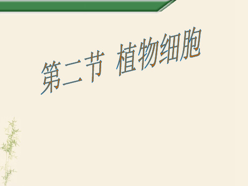 人教版七年级上册第2单元第1章 第二节 植物细胞-课件(共28张PPT)