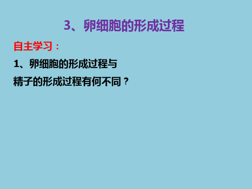 2、卵细胞的形成过程和受精作用