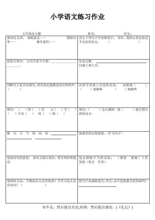 小学五年级语文课堂练习III (86)
