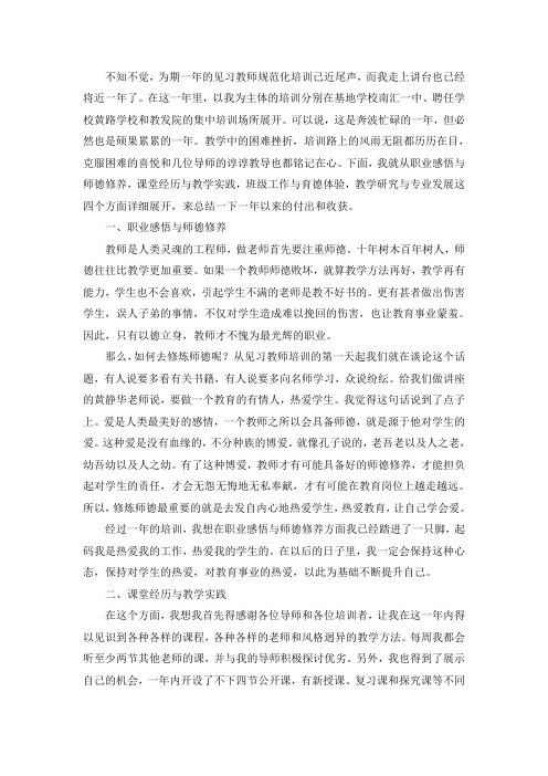 见习教师规范化培训总结